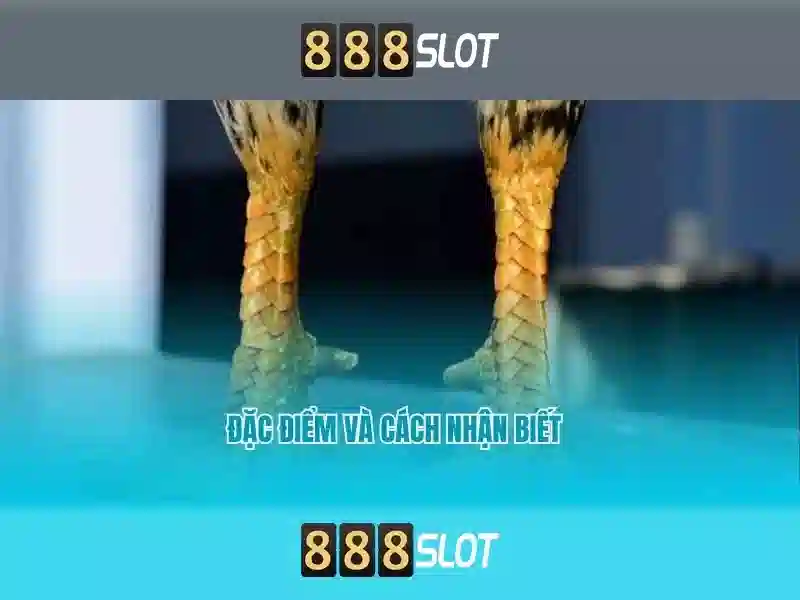 💎big fish jackpot magic slots free coins💎