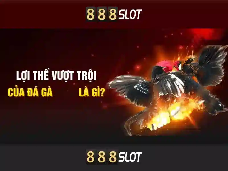💎play slots on your mobile💎