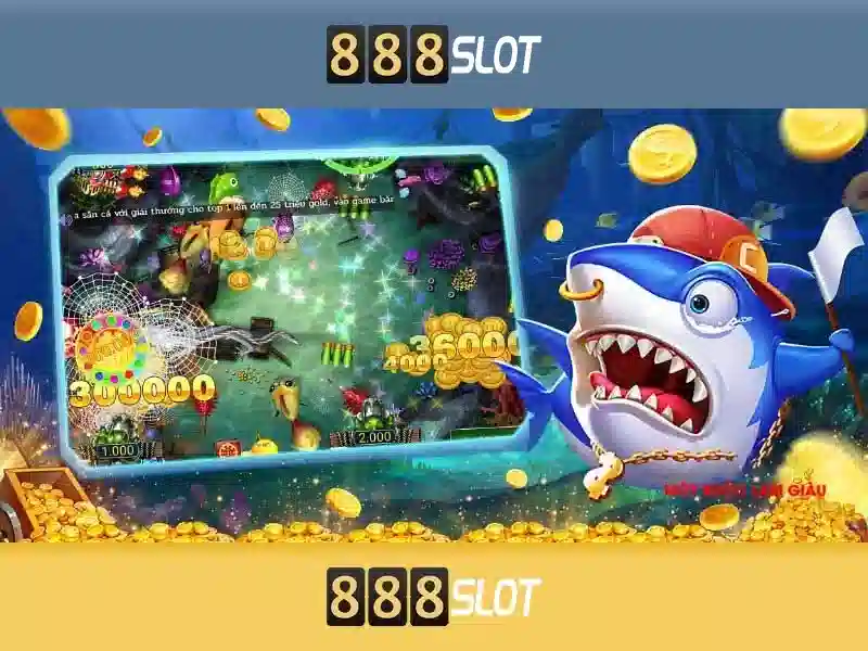 💎expansion cards and slots💎