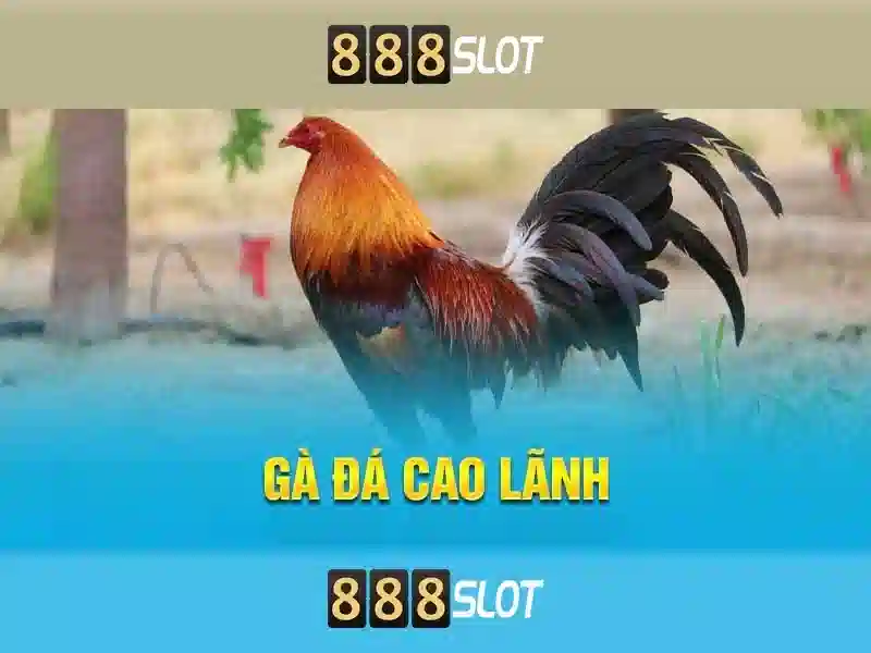 💎vwbet nhà cái💎