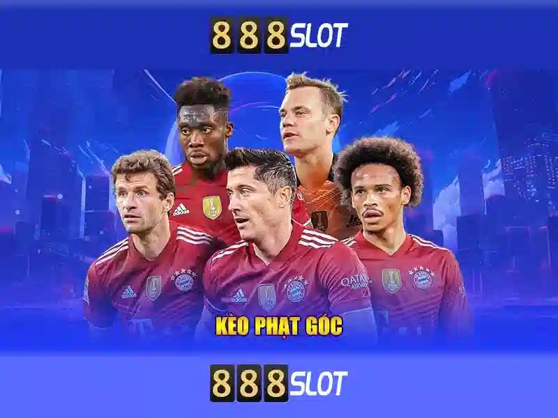 💎reefpop slot💎