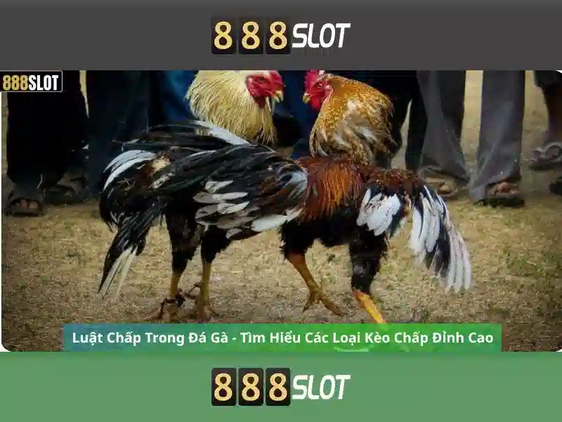 💎1gom.com ca cuoc the thao keo chau a💎