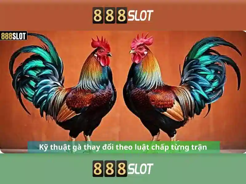 💎đánh nhau ở vsip bắc ninh💎