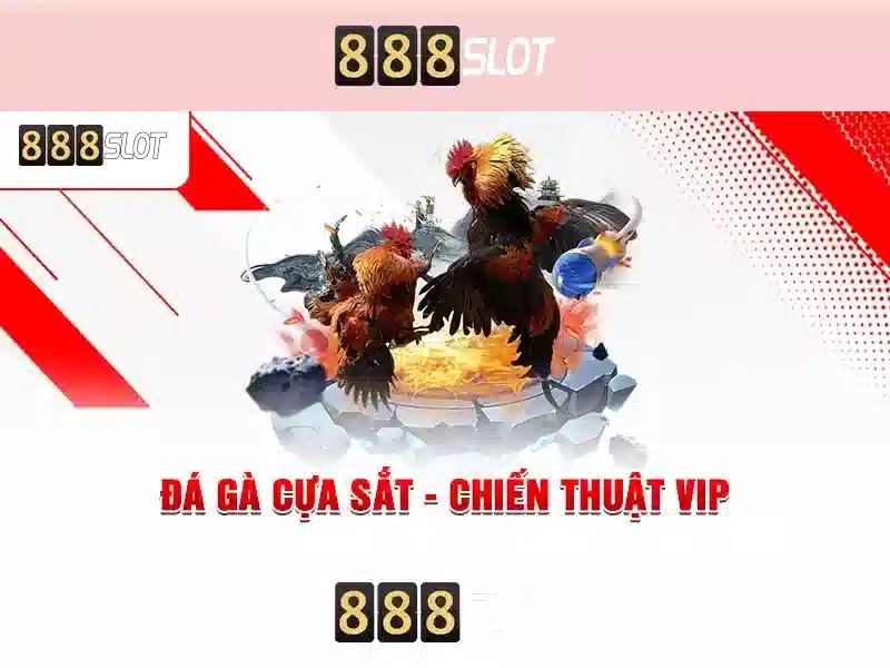 💎cách làm nhà cái xì dách💎