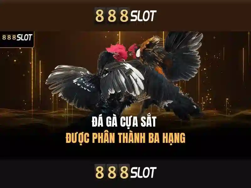 888slot poker - 888slot