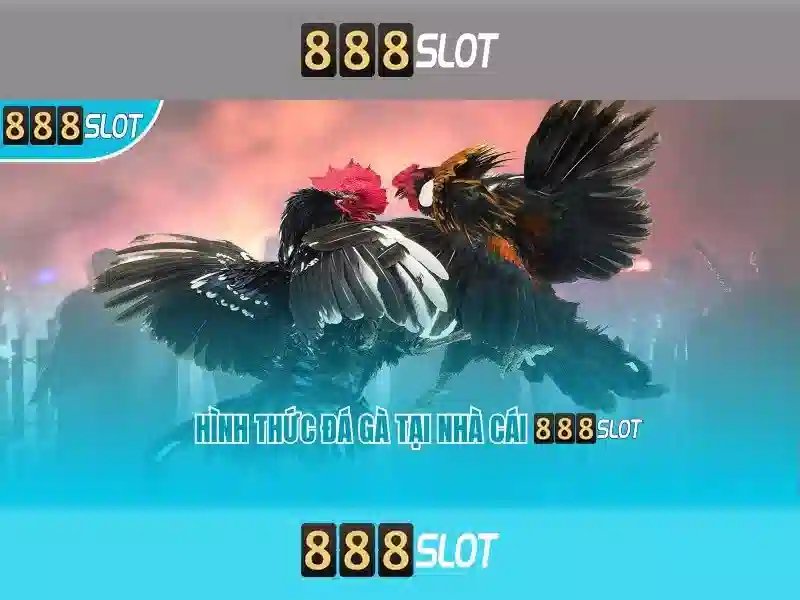 💎vn98 nhà cái💎