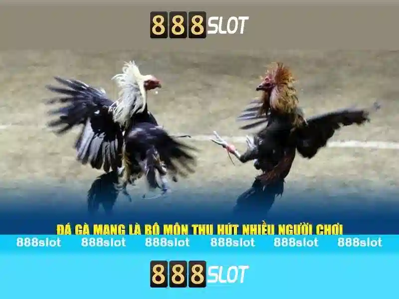 💎trang web cá cược blckvc💎