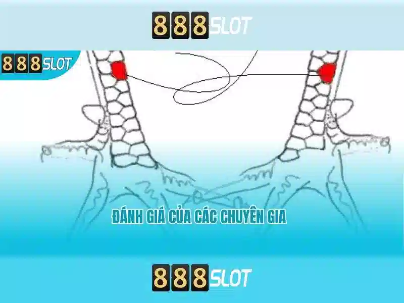 💎đánh gió bằng trứng với bạc💎