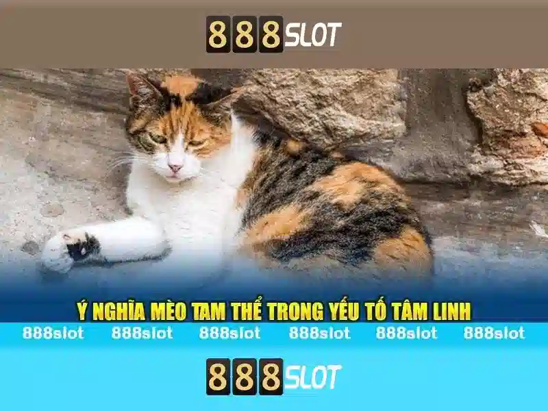 💎123b nhà cái prozacnorx.us.com💎