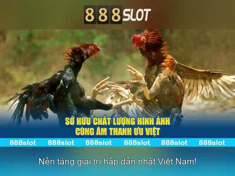 💎nhà cái đến từ việt nam💎