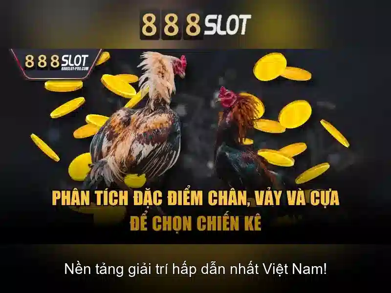 💎cửa hàng nhịp sống tây bắc sơn la ảnh💎