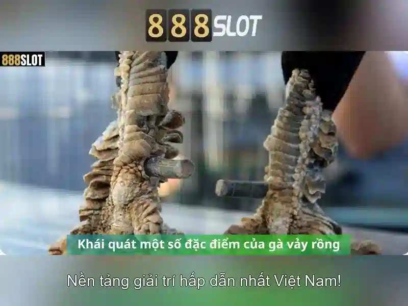 💎bác hồ đánh cầu lông💎