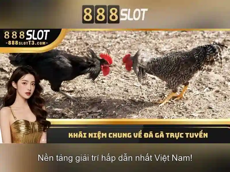 💎mơ thấy người rủ đánh bạc💎