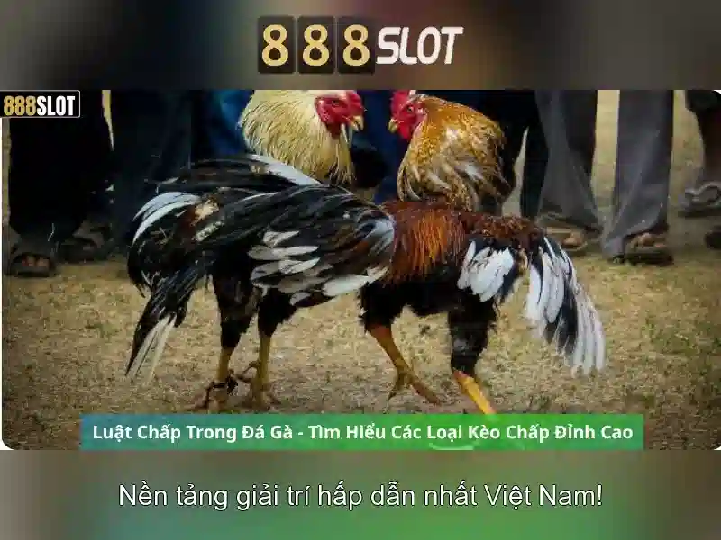 💎thung lũng rèn sòng bạc💎