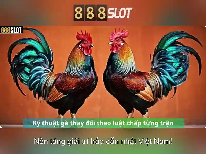 💎nhà cái uy tín social.bet noc88top.com💎