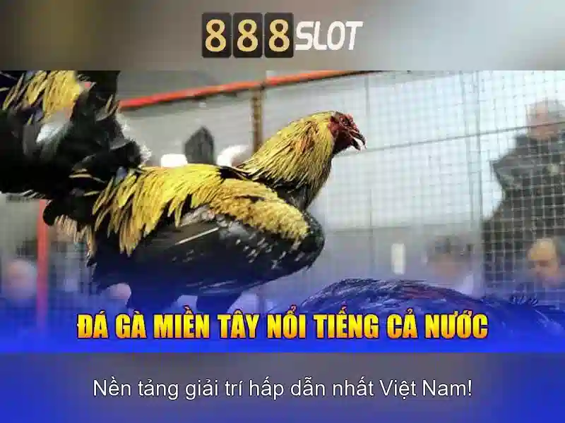 💎tl keo nha cai vt💎