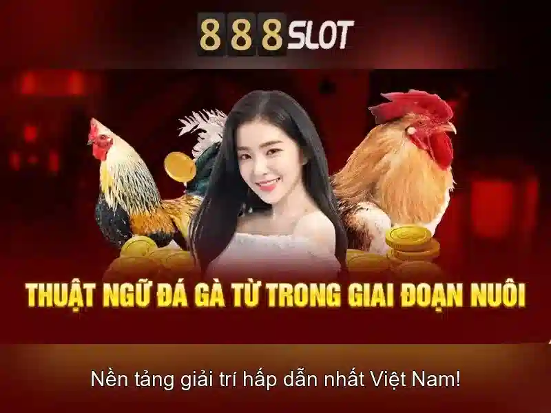 💎hack câu cá và cuộc sống vô hạn tiền💎