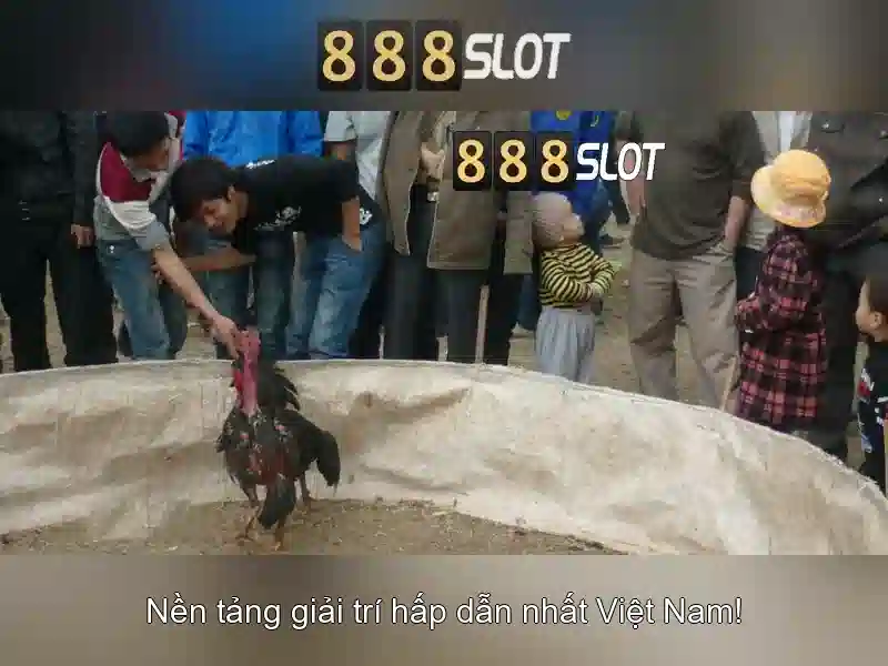 💎fun nhà cái 88💎