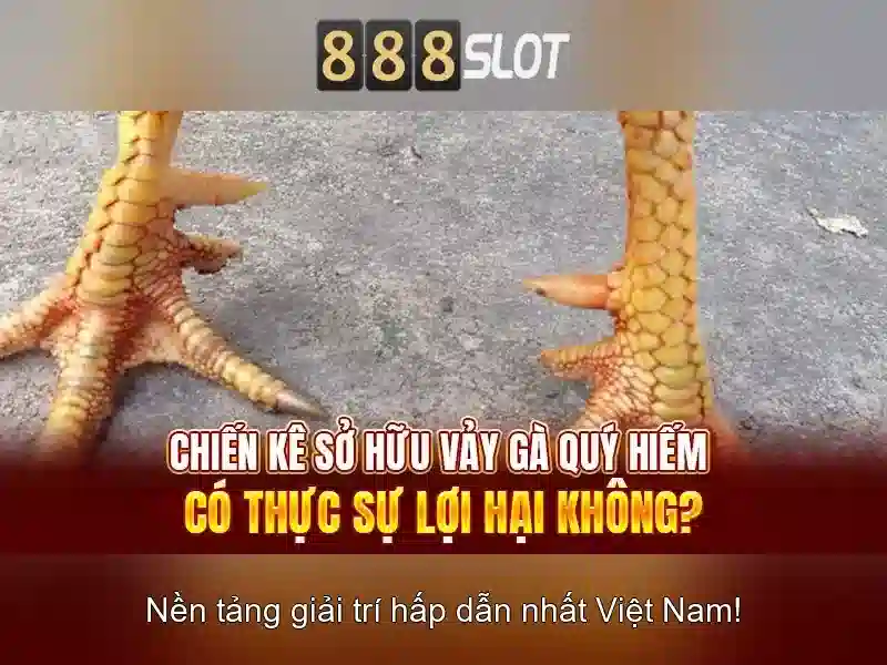 💎kèo nha cái keohay💎