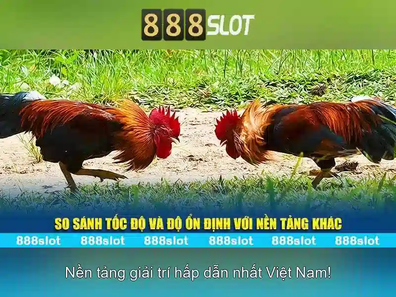 💎soi kèo nhà cái chelsea hôm nay💎