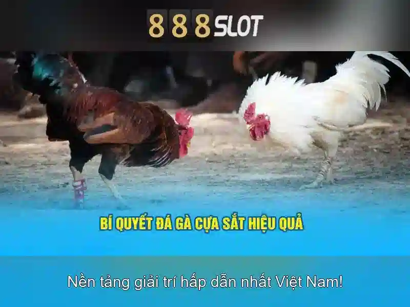💎sòng bạc rockbet💎
