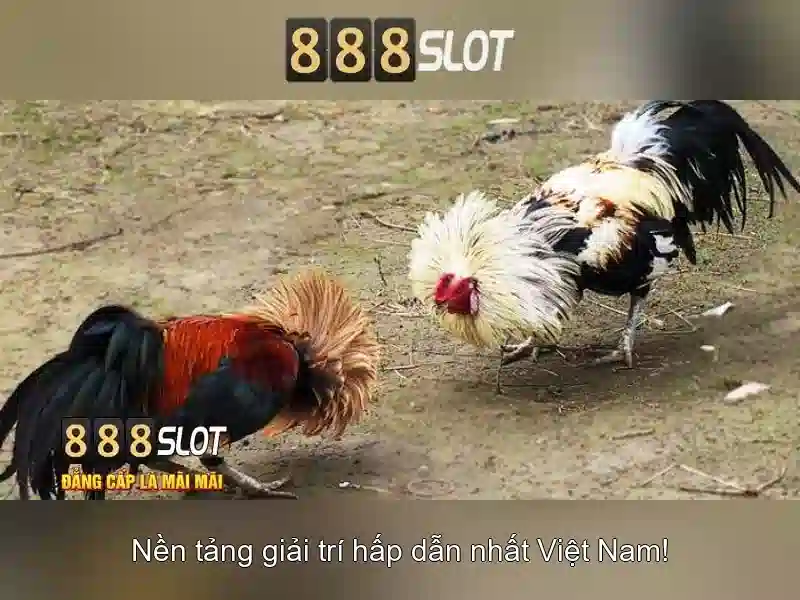 💎play slots o gold online💎
