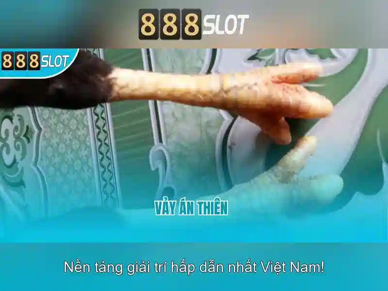 💎tú sena tổ chức đánh bạc💎