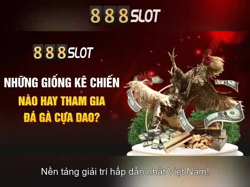 💎nha cai tuvn💎
