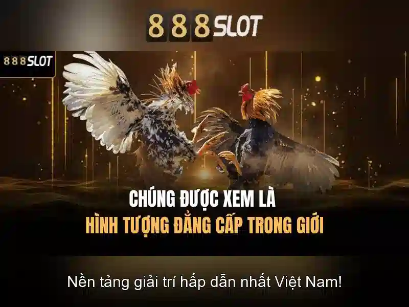 💎www meccabingo com games slots php💎