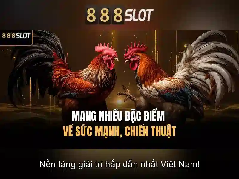 💎ruby slots no deposit bonus 2019💎