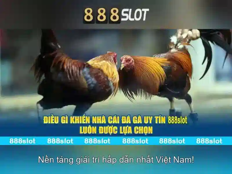 💎soi cau vua nhà cai💎